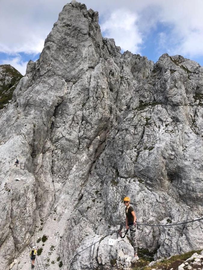 Apartments Edelweiss & Enzian - Gaestehaus Zum Fuchs Hermagor-Pressegger See Eksteriør billede